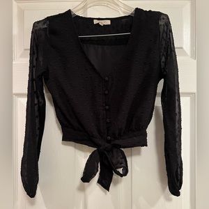 NWOT sim and sam blouse, sheer long sleeves, tie in the front